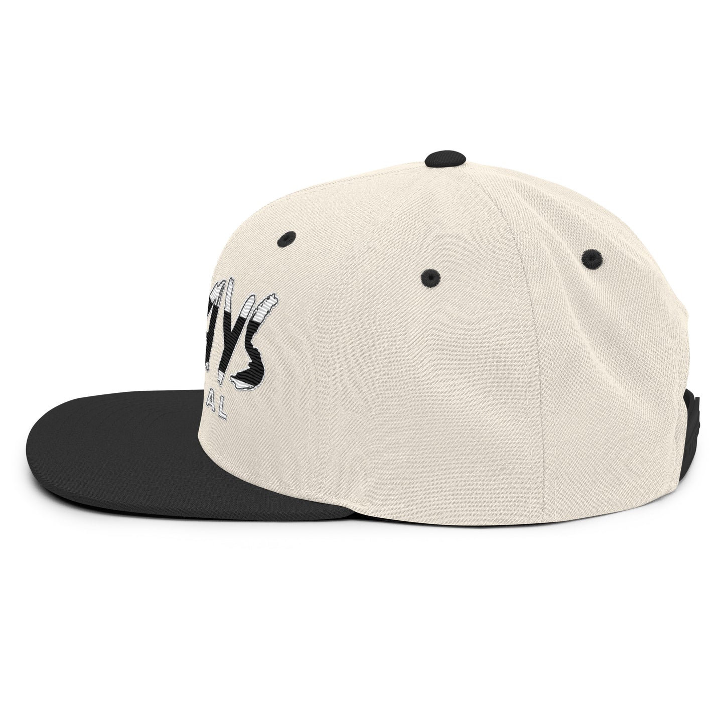 Revolutionary Puerto Rican Flag Snapback Hat