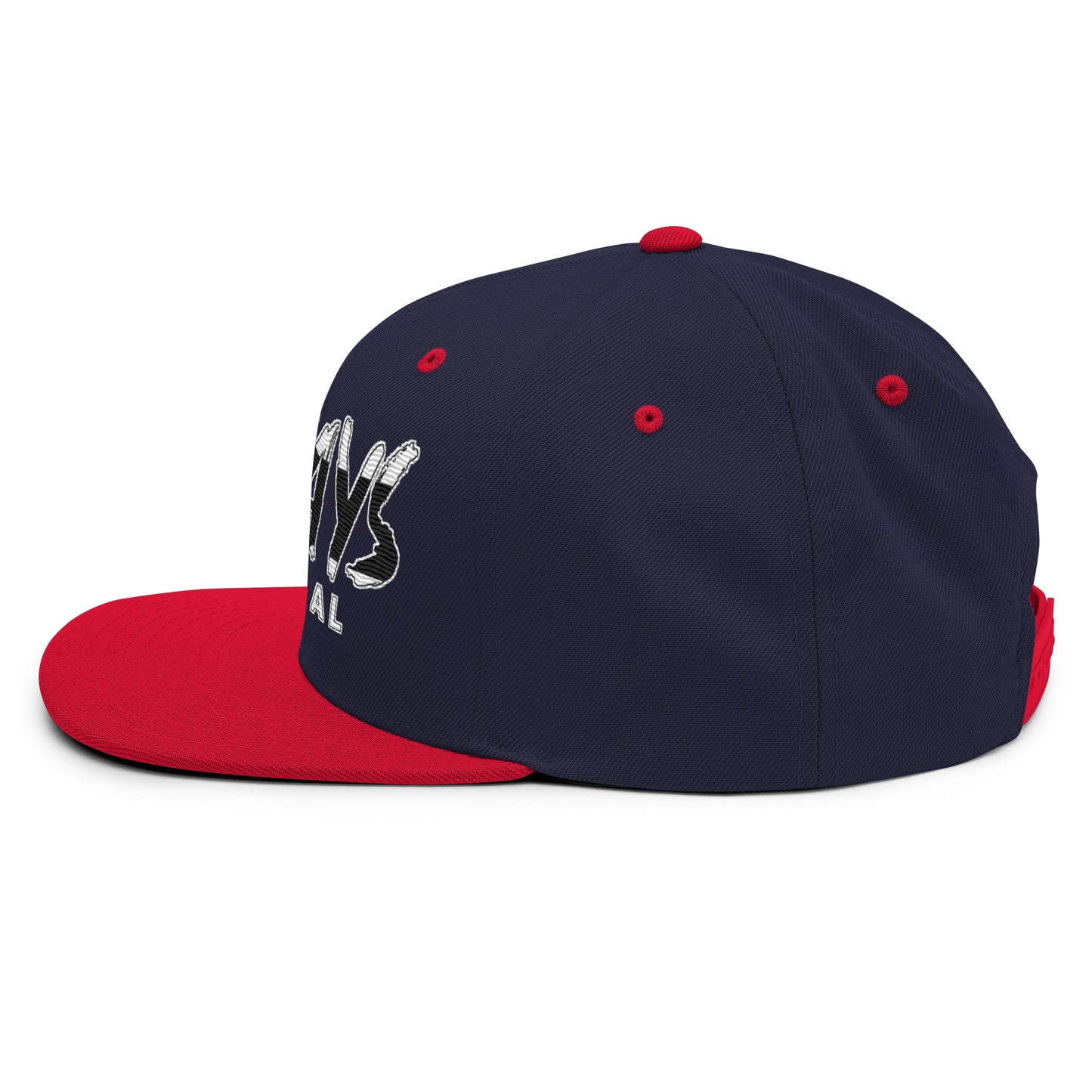 Revolutionary Puerto Rican Flag Snapback Hat